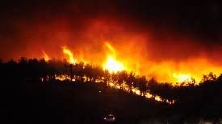Kemer'de Orman Yangını Kontrol Altına Alınamadı!