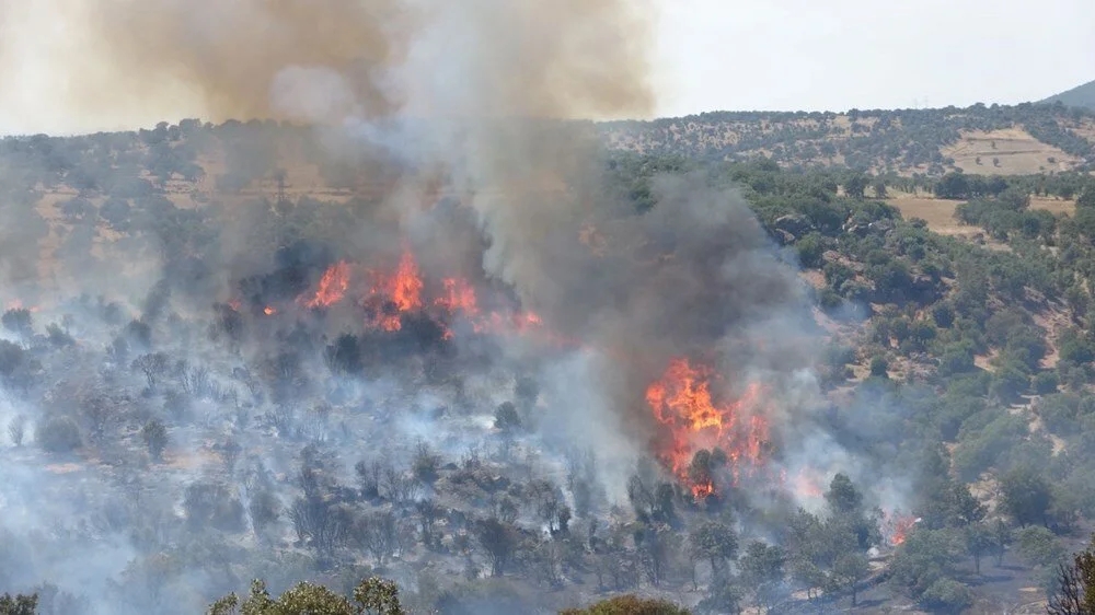 Çanakkale'de Büyük Orman Yangını