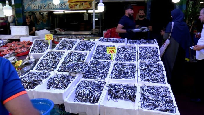 Hamsi Ve İstavrit Fiyatında Düşüş Yaşandı: Sezon Açılışıyla Birlikte Fiyatlar Düştü.