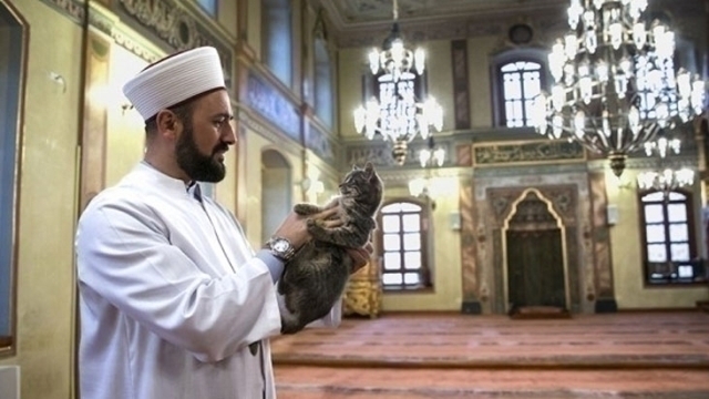 Mekke'de Filistin Ve Gazze Kelimelerini Kullanan İmam Gözaltına Alındı!