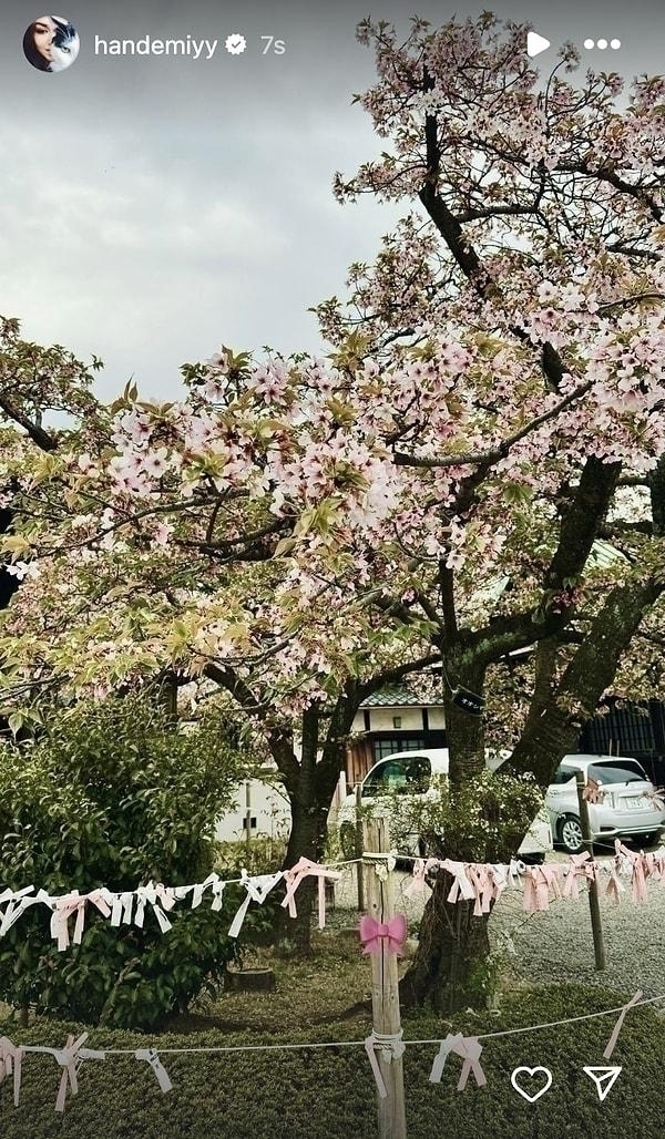 Hande Erçel Ve Hakan Sabancı, Japonya'da Sakura Çiçeklerini Görmek İçin Seyahat Etti