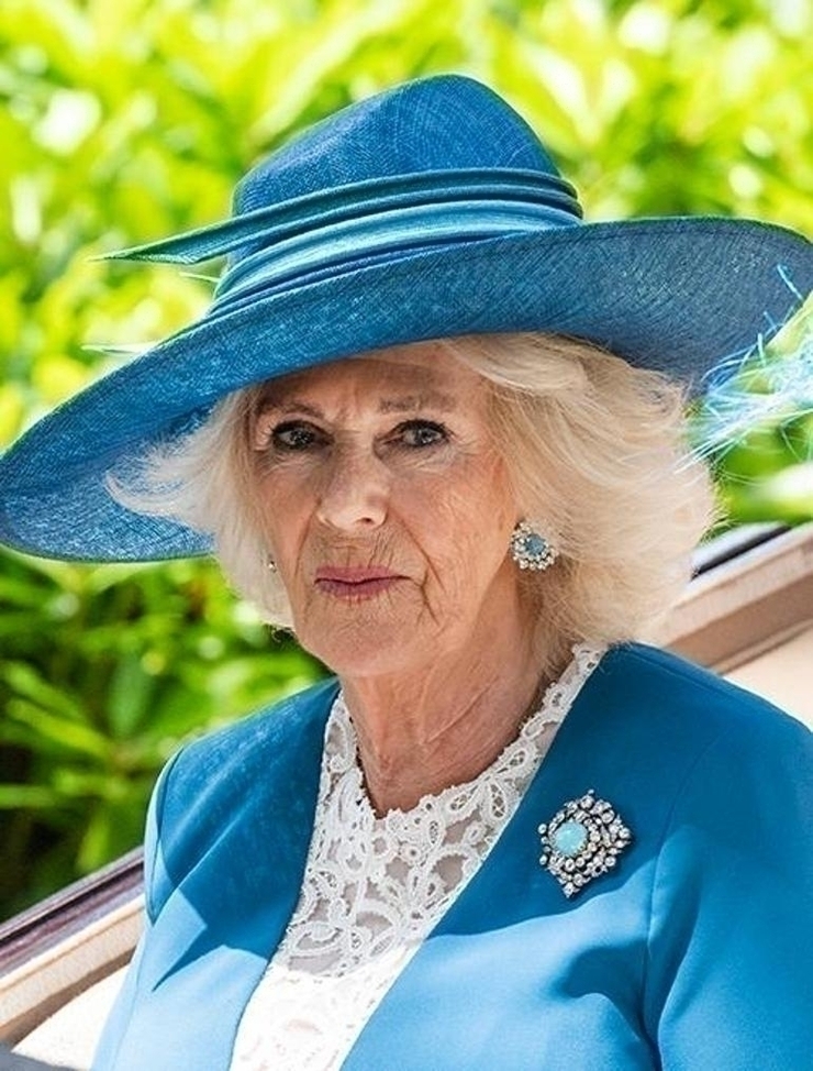 Camilla'nın Takı Dolu Görünümü Öne Çıktı