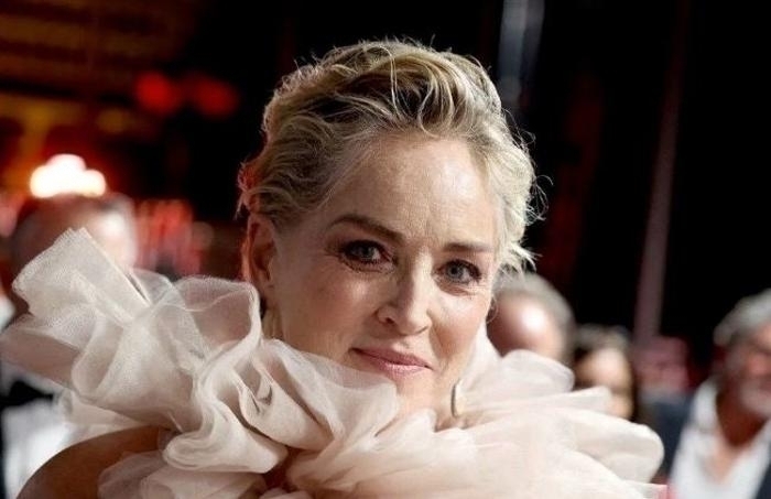 Sharon Stone, Beyin Kanaması Sonrası Yaşadığı Zorlukları İlk Kez Anlattı