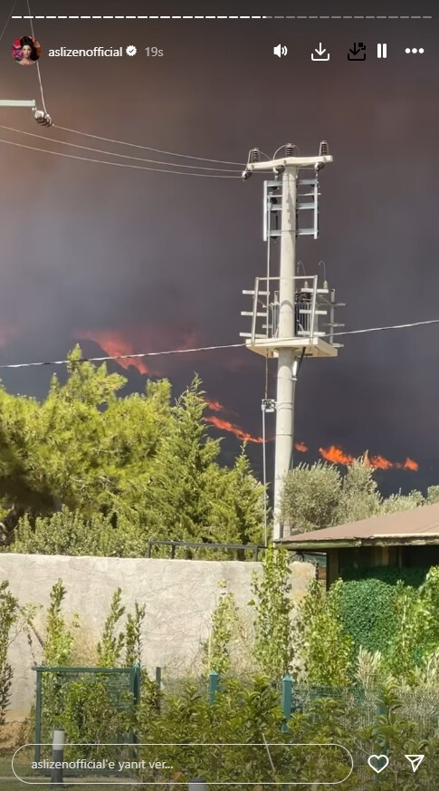 Urla'daki Orman Yangını, Ünlü Şarkıcı Aslı Zen'in Evinin Yakınında Paniğe Neden Oldu