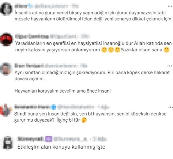 Dilan Çıtak Tatlıses'ten sokak hayvanlarıyla ilgili tartışmalı açıklamalar ve sosyal medya tepkisi