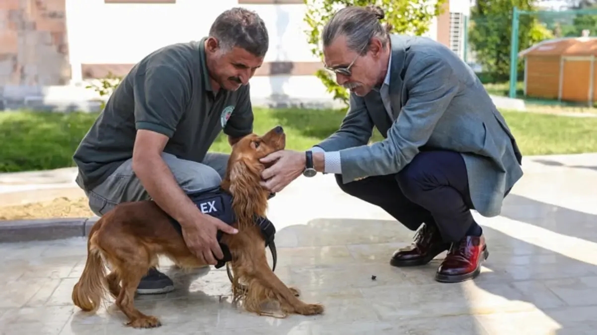 Erdal Beşikçioğlu, Etimesgut Belediye Başkanı olarak sokak köpekleriyle ilgili...