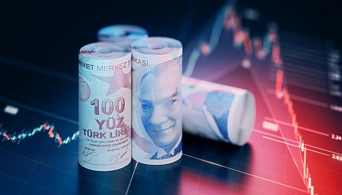 2024 Kasım Dönemi Merkez Bankası Anketi: Dolar ve Enflasyon Beklentileri Artış Gösterdi