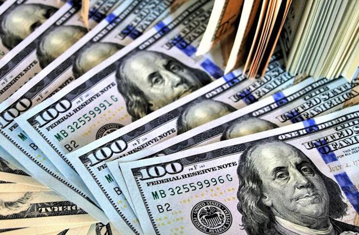 2024 Kasım Dönemi Merkez Bankası Anketi: Dolar ve Enflasyon Beklentileri Artış Gösterdi