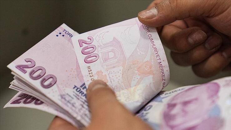 2025 Asgari Ücret 22 Bin 104 TL Açıklandı, Dolar Karşılığı Tarihin Zirvesine Ulaştı!