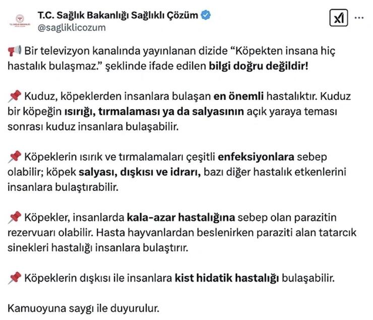 Kızılcık Şerbeti’nde köpek sahnesiyle ilgili Sağlık Bakanlığı’ndan uyarı!